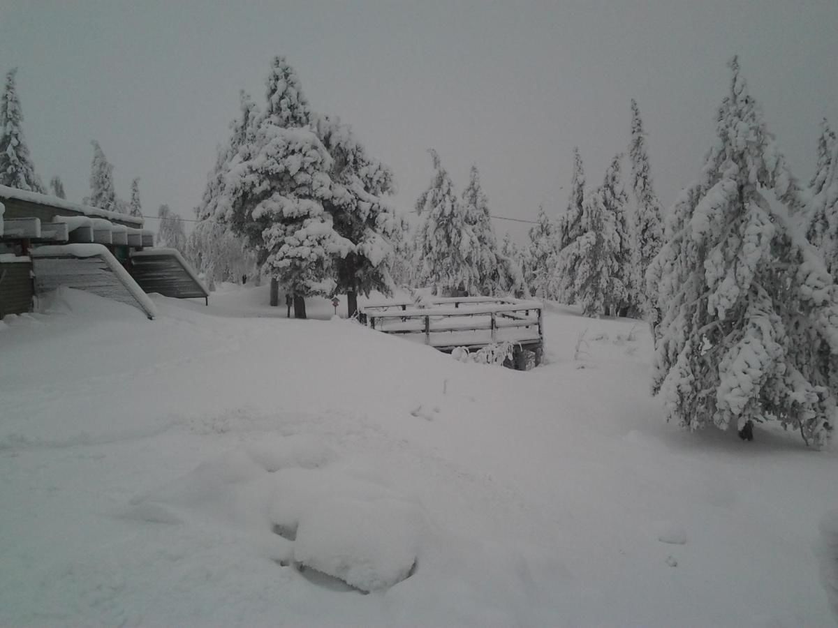 Дома для отпуска Karemajat Cottage Resort Юлиторнио-29