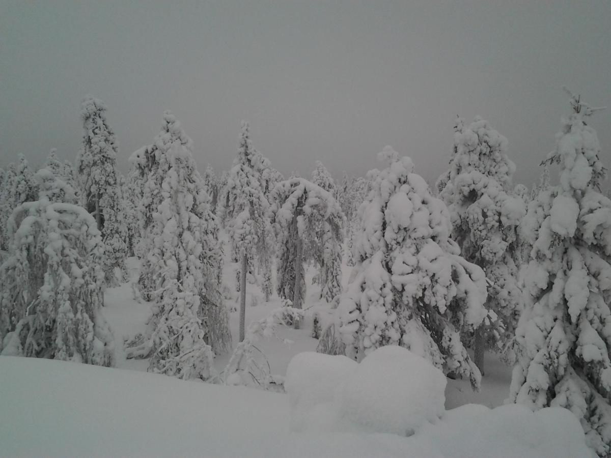 Дома для отпуска Karemajat Cottage Resort Юлиторнио-32
