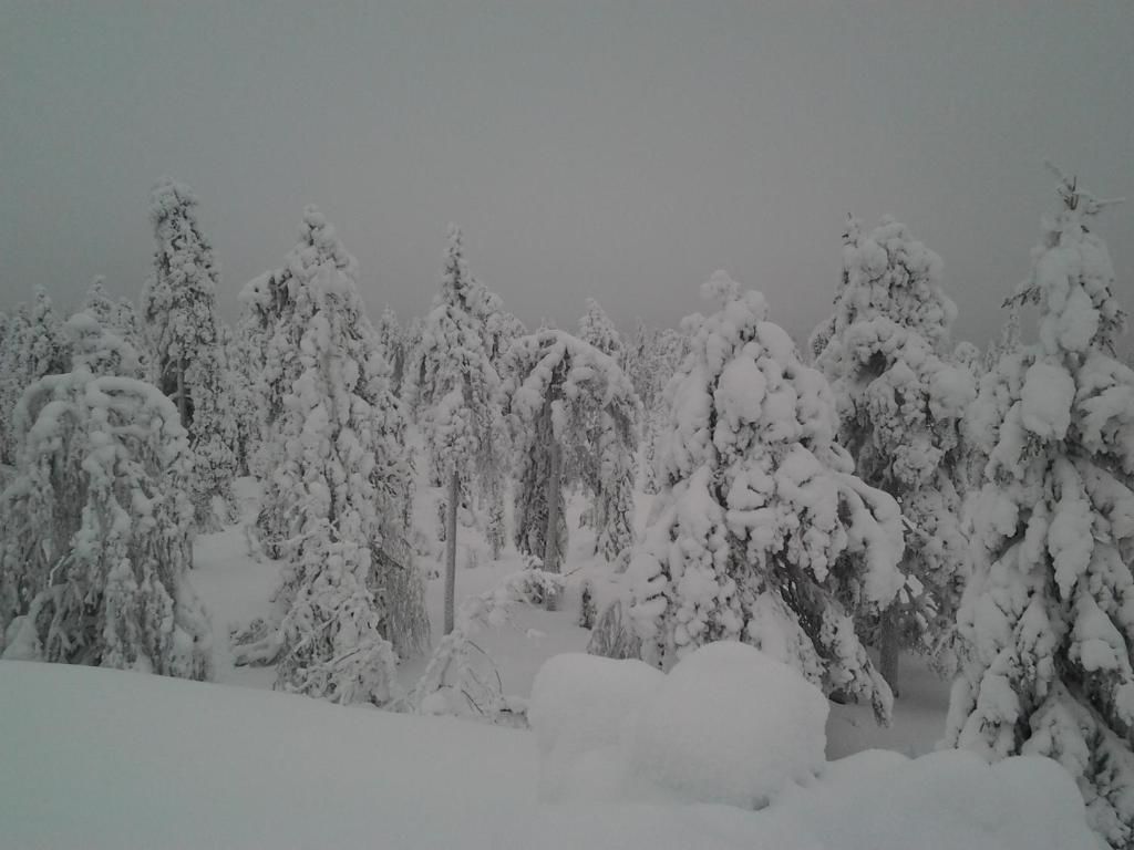 Дома для отпуска Karemajat Cottage Resort Юлиторнио-90